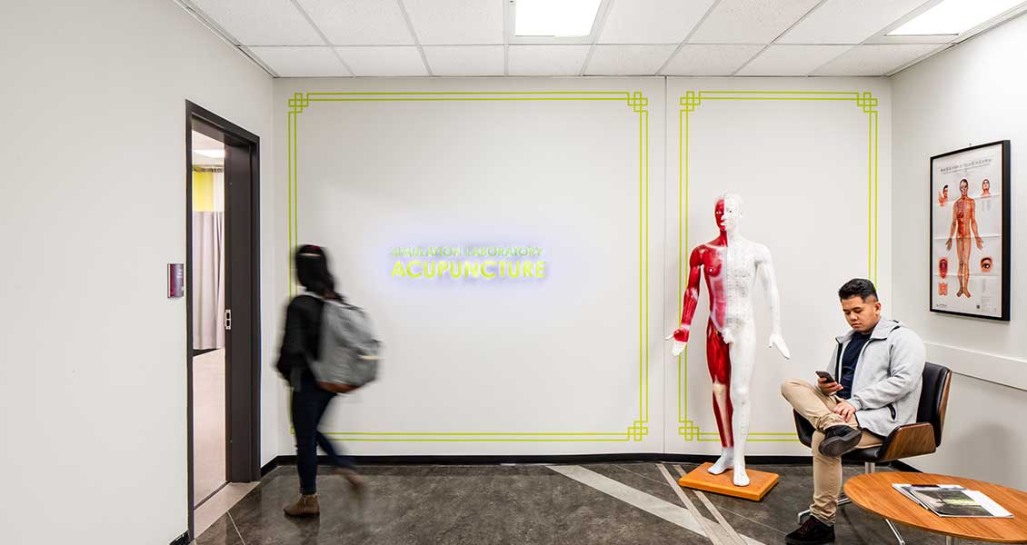 Acupuncture Lab